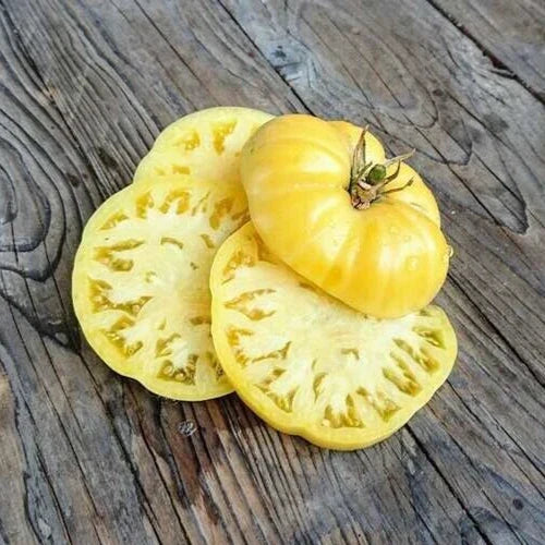 25 Heirloom Tomato Seeds White Wonder Beefsteak Solanum lycopersicum, Large Juicy Slicing Tomatoes, Non-GMO, Open-Pollinated