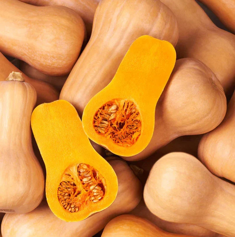 Waltham Butternut Winter Squash Seeds – Heirloom Non-GMO, Sweet Nutty Flavor, Cucurbita moschata, 30 Seeds for Home Garden & Harvest
