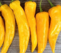 Golden Marconi Pepper Seeds - 30+ Sweet Capsicum annuum Vegetable Seeds for Home Garden, Full Sun, Bushy Plant