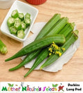 Okra Seeds - Perkins Long Pod Heirloom Non-GMO High Yield for Pickling & Gumbo - Abelmoschus esculentus, 50 Seeds