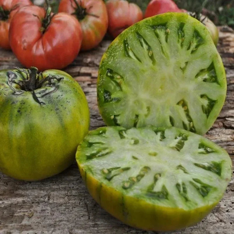Cherokee Green Tomato Seeds - Heirloom Organic Non-GMO, Solanum lycopersicum, Rare Green Tomato Variety, 30+ Seeds