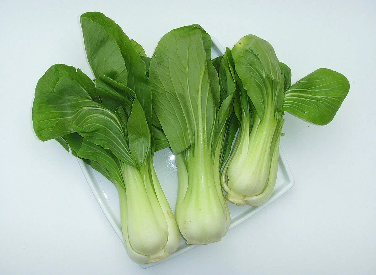 4000+ Bok Choy Seeds Canton Variety Non-GMO Chinese Cabbage Brassica rapa Vegetable Seed Pack