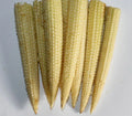 Mini Sweet Corn Seeds - Zea mays Heirloom Non-GMO Garden Planting for Small Gardens