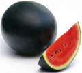 Sugar Baby Watermelon Seeds - Non-GMO, Small Round Melons, Citrullus lanatus, 25 Seeds
