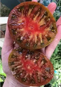 Black Brandywine Tomato Seeds - Heirloom Organic NON-GMO, Solanum lycopersicum, 30+ Seeds for Home Garden, Container, Canning
