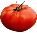 Giant Beefsteak Tomato Seeds - 200+ Heirloom Seeds for Massive Fruits - Solanum lycopersicum