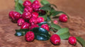 Magenta Cherry Seeds - 10+ Pack for Garden Planting, Solanum lycopersicum, Vibrant Fruit, Non-GMO, USA Grown