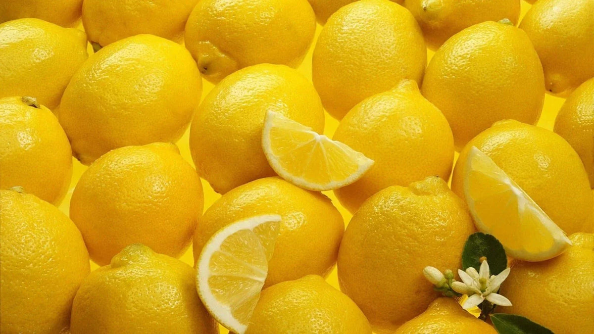 Organic Meyer Lemon Scions Cuttings 4-6 Inches for Rooting and Grafting Citrus × meyeri