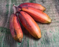 Red Dacca Banana Plant - Live Musa acuminata 'Dacca' with Red and Green Foliage, Tropical Fruit, Indoor/Outdoor