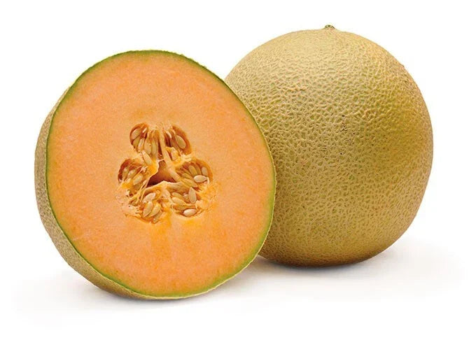 Cantaloupe Melon Seeds - 5 Pack, Sweet Variety, Cucumis melo, Juicy Fruits, Home Garden, Free USA Shipping