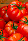 Red Beefsteak Tomato Seeds - Non-GMO, Heirloom, Solanum lycopersicum, Large, Juicy, Salad & Sandwich Tomatoes, 50+ Seeds