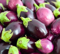 Round Eggplant Seeds 50+ Pack – Solanum melongena, Asian Cuisine, Non-GMO, Vegetable Garden, Edible Plant
