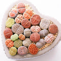 Mixed Lithops Seeds - Pseudotruncatella Living Stones Succulent Seeds for Indoor & Garden Planting