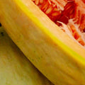 Banana Melon Seeds | NON-GMO Heirloom Cucumis melo | Sweet Tropical Fruit Garden Seeds, Vining Plant