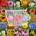 Wildflower Seed Mix - Iowa State Flower - 1000 Non-GMO Native Wildflowers for Gardens & Meadows