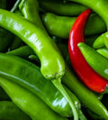 Serrano Hot Pepper Seeds, 200 Non-GMO Capsicum annuum Seeds for Spicy Salsas & Cooking