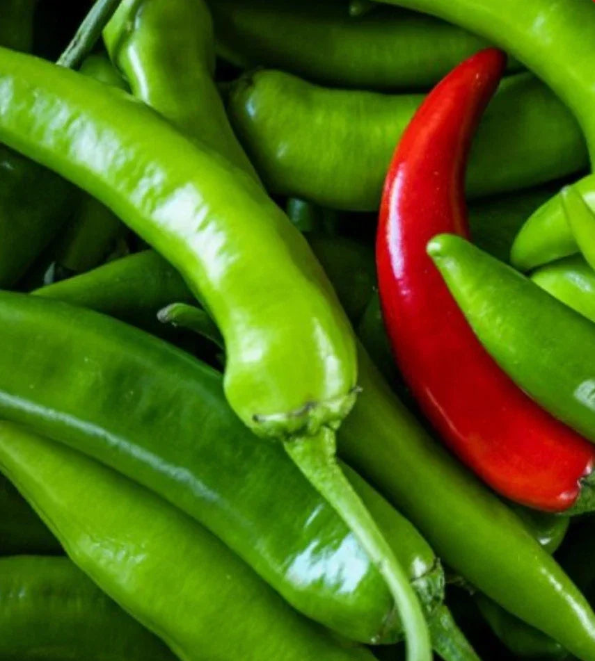 Serrano Hot Pepper Seeds, 200 Non-GMO Capsicum annuum Seeds for Spicy Salsas & Cooking