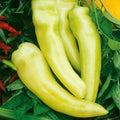 Sweet Banana Pepper Seeds - Heirloom Yellow Capsicum annuum Vegetable Seeds, Non-GMO, 50+ Pack for Home Garden, Compact Bushy Plants