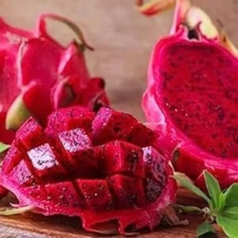 Red Dragon Fruit Seeds - 50 Pack, Hylocereus undatus, Exotic Cactus for Home Garden, Pot, Greenhouse, Free Shipping