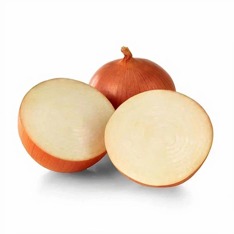 Onion Seeds for Planting - Catskill Variety - Allium cepa - 100 Seeds for Garden, Bulb-Forming, Sweet & Mild Flavor