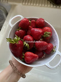 Organic Strawberry Seeds - 50 Count, Non-GMO, Sweet Edible Fruit, Fragaria x ananassa, for Home Gardens & Containers