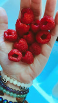 Red Raspberry Seeds - 25 Count Edible Berry Garden Vine - Rubus idaeus - USA Grown, Non-GMO, Perennial Fruit Plant