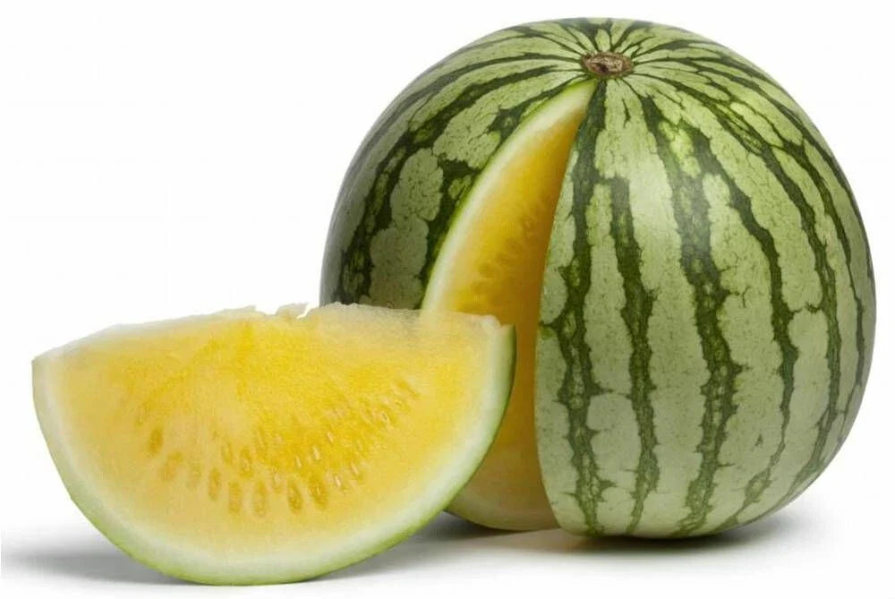 Yellow Doll Seedless Watermelon Seeds – 50+ Citrullus lanatus for Home Garden Planting, USA Grown