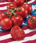 Heirloom Tomato Seeds, 120+ Pack, Fastest Ripening 42 Days, Solanum lycopersicum, Indeterminate, Juicy & High Yield
