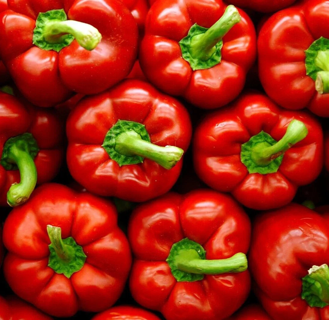 Big Red Bell Pepper Seeds - 50+ Non-GMO Capsicum annuum Vegetable Seeds for Home Garden, Sweet, Juicy, Heirloom