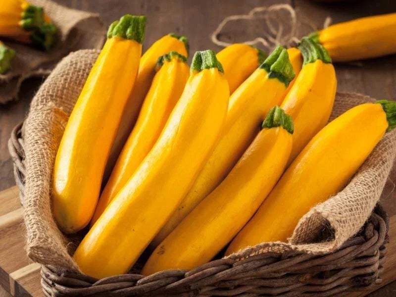 Gourmet Gold Zucchini Seeds – Heirloom Cucurbita pepo Vegetable Seeds – 25+ Pack for Home Garden, Container Gardening, USA