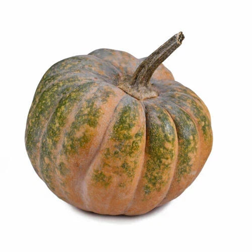 Musquee De Provence Pumpkin Seeds - 25+ Heirloom Cucurbita Maxima for Garden Planting, Organic, Non-GMO Seed Packet