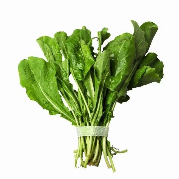 Bulk Arugula Seeds 500 Count - Eruca sativa Peppery Herb for Salads & Garnishes