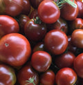 Black Prince Tomato Seeds - Indeterminate Heirloom Russian Tomato Seeds for Garden & Container Planting, 100+ Seeds