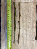 Fruit Tree Cuttings - Apple, Plum, Peach, Fig, Cherry, Mulberry Scion Wood for Grafting