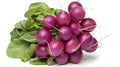 Malaga Radish Seeds - 500+ Count, Fast-Growing Raphanus sativus Garden Seeds for Home Gardening, Salad, and Garnishes