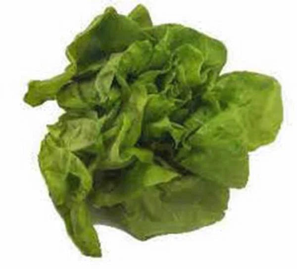 Heirloom Lettuce Seeds Collection – Non-GMO Organic Salad Greens Pack with Butterhead, Romaine, Leaf & Crisphead Varieties