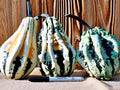 Super Wings Gourd Seeds - Pack of 25, Vibrant Winged Gourds, Cucurbita pepo, Easy to Grow, Non-GMO, Decorative & Edible