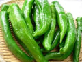 Sweet Manganji Pepper Seeds - 25 Premium Capsicum annuum for Home Gardening & Culinary Use