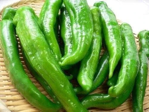 Sweet Manganji Pepper Seeds - 25 Premium Capsicum annuum for Home Gardening & Culinary Use