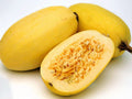 Spaghetti Squash Seeds - Heirloom Cucurbita pepo Vegetable Seeds for Home Garden, Non-GMO, Pesticide-Free, Pack of 20