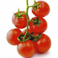 Sweet Large Cherry Tomato Seeds – Heirloom, Non-GMO, 500+ Seeds for Home Garden, Juicy Solanum lycopersicum