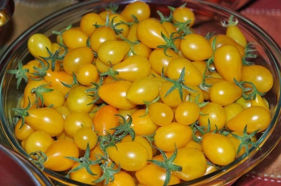 Yellow Pear Tomato Seeds - Heirloom, Non-GMO, Solanum lycopersicum, Pear-Shaped, Full Sun, Garden, Fresh Eating