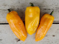 Fresh Sweet Golden Marconi Pepper Seeds - 20 Premium Capsicum annuum for Garden & Culinary Use