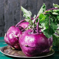Purple Vienna Kohlrabi Seeds - Non-GMO Heirloom Brassica oleracea var. gongylodes, Vegetable Seeds, Resealable Pack