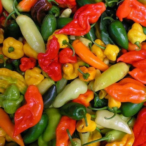 Hot Pepper Mix Seeds - Capsicum Annuum - Spicy Garden Variety for Cooking & Preserving