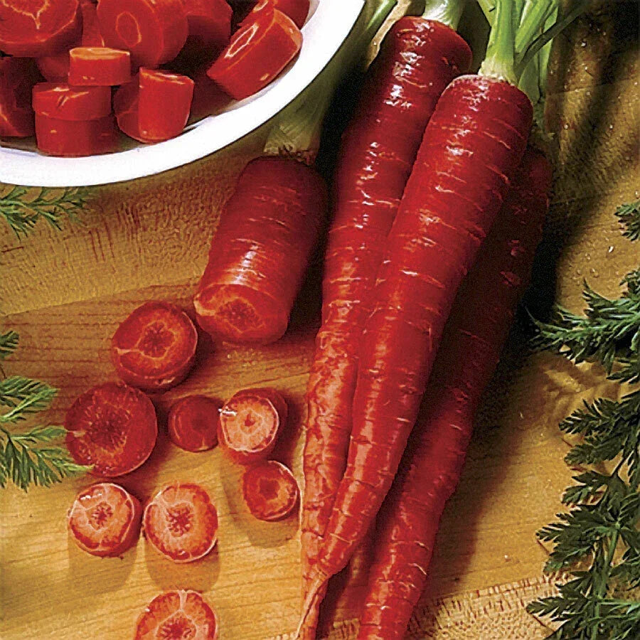 Atomic Red Carrot Seeds – Rare Daucus carota Variety, High Lycopene Content, 4,000 Seeds for Home Garden & Urban Farming