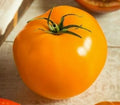 Golden Jubilee Tomato Seeds - 100+ Heirloom Solanum lycopersicum for Sauce & Salad, Yellow-Orange Fruit, Garden Vegetable Seeds