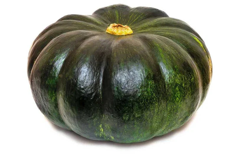 Cupcake Squash Seeds - Heirloom Cucurbita pepo Pack of 25+ for Home Garden, Container Gardening, Non-GMO, USA Grown