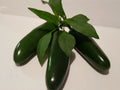 Jalapeno Pepper Seeds - 40 Pack, Spicy Capsicum annuum, Fresh Green to Red, for Home Garden & Container Growing