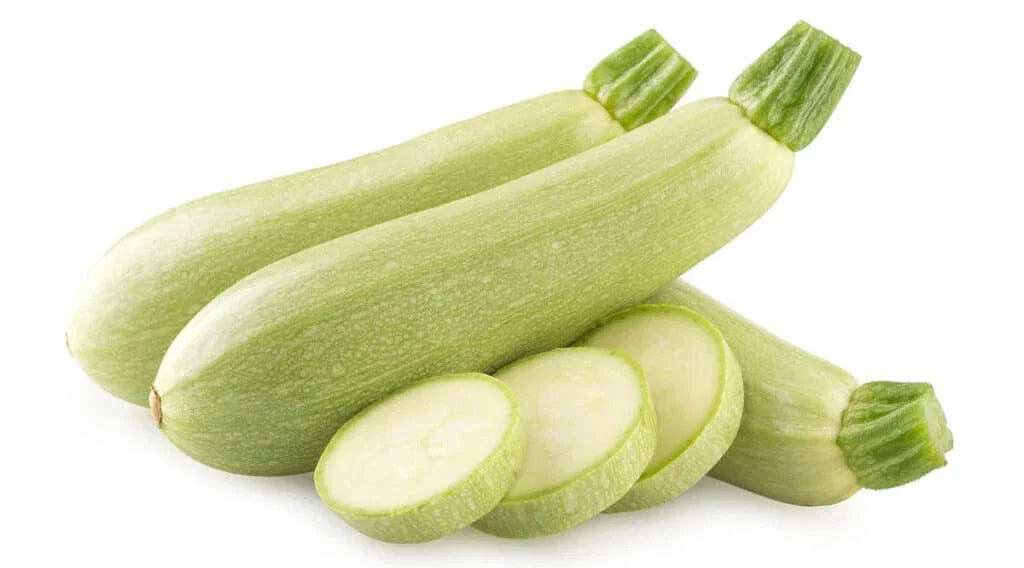 Bianco di Trieste Zucchini Seeds - 25+ Cucurbita pepo, High Yield, Bush-Type, White Zucchini Seed Packet for Gardening